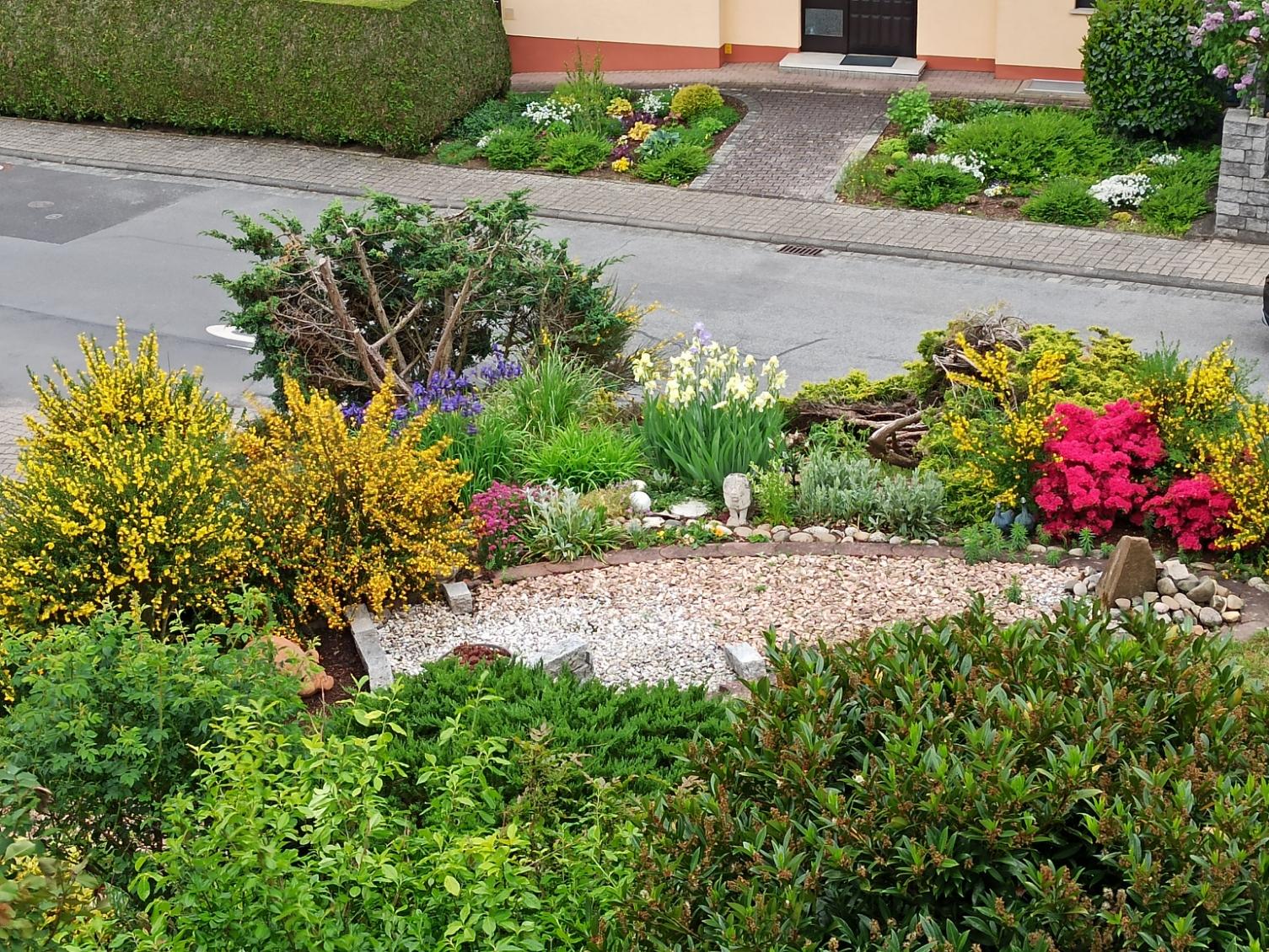 Teilansicht des Gartens mit Ginster, Lilien, Azaleen.